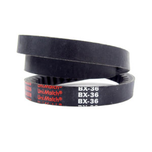 Jason BX36 Belt