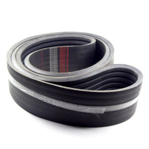 Jason RB148 Belt