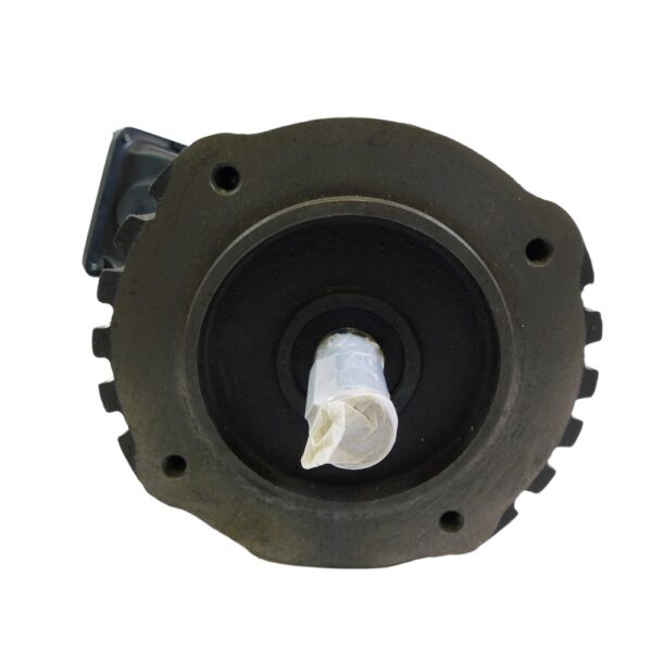 Dayton 4THU5 Motor
