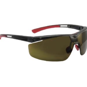 HONEYWELL NORTH T5900NTK3.0 Safety Glasses (Pack of 10)