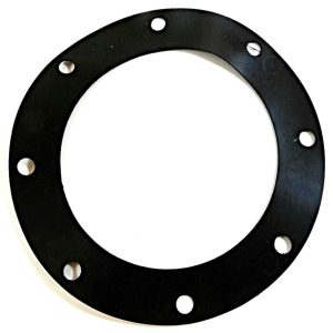 Milton Roy 70250114199 Gasket