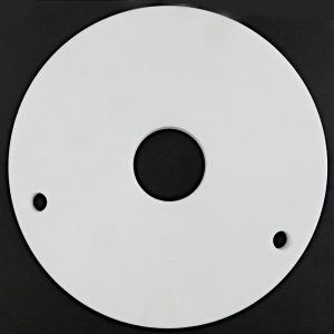 Blackmer 65303-T Teflon Disc