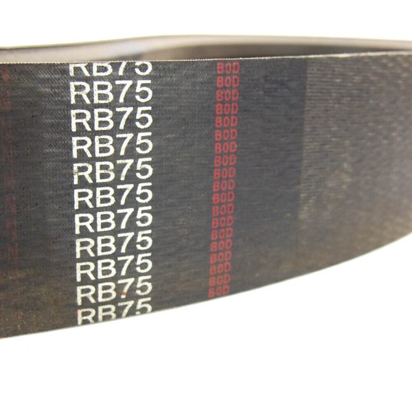 Jason RB75 V-Belt
