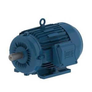 Weg 11568650 Motor