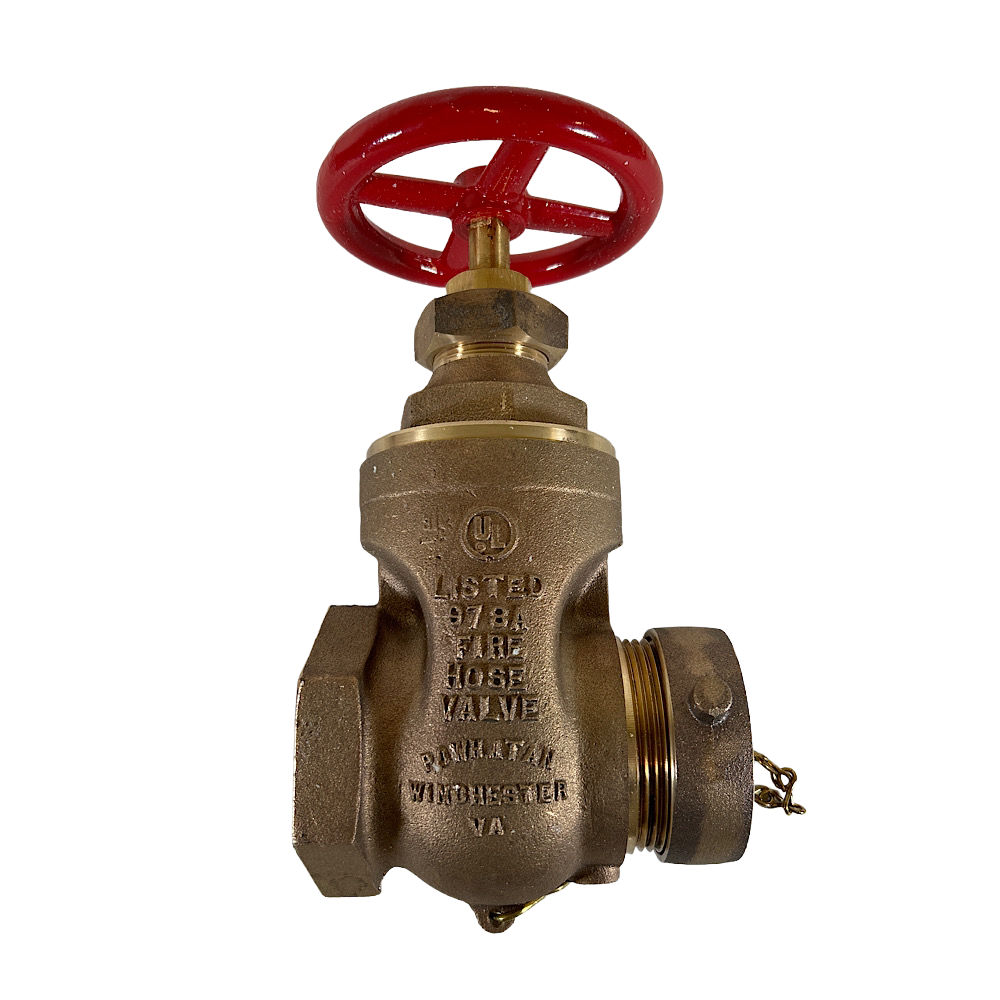 HGVW250F Dixon Foged Bass Single Hydant Gate Valve - 2-1/2