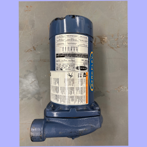 Berkeley S39536 AC Straight Pump